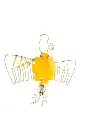 R62_0826.webp