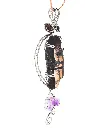 R62_0881.webp